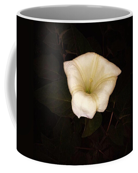 Purity Coffee Mug featuring the photograph Purity Has No Shame by Nick Heap