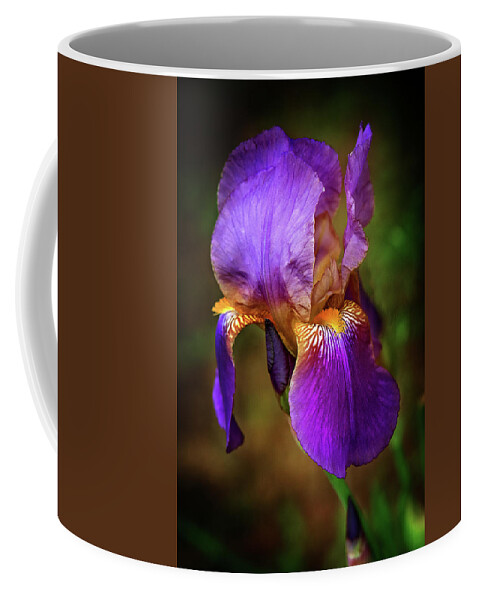 Purple Bearded Iris Flower Photograph Coffee Mug featuring the photograph Purple Bearded Iris by Gwen Gibson