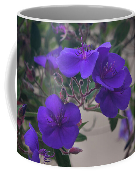 Photograph Coffee Mug featuring the photograph Purple Beauty by Suzanne Gaff
