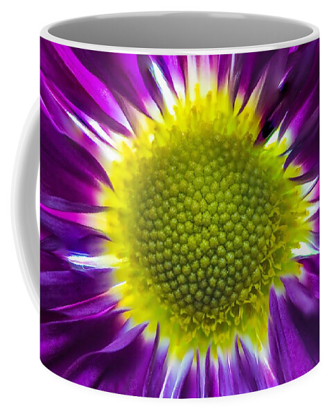 Daisy Coffee Mug featuring the photograph Purple Burst by Tammy Ray