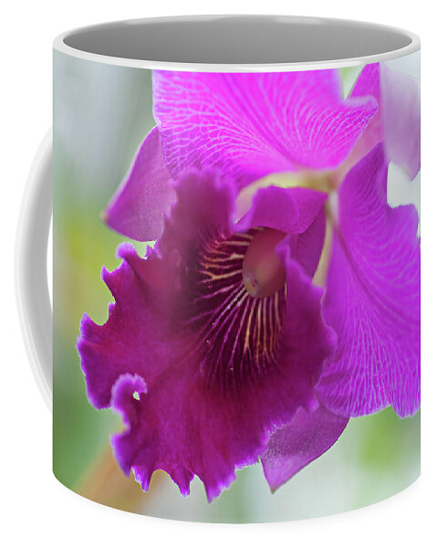 Jenny Rainbow Fine Art Photography Coffee Mug featuring the photograph Purple Cattleya Orchid Macro by Jenny Rainbow