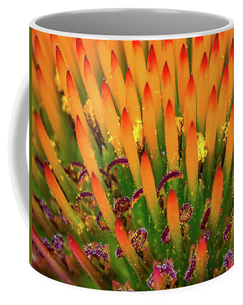 Flower Coffee Mug featuring the photograph Purple Cone Flower Closeup by Brad Boland