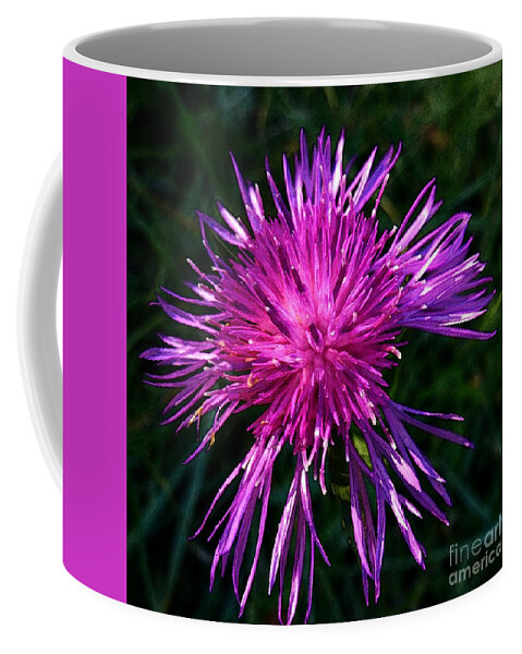 Beautiful Coffee Mug featuring the photograph Purple Dandelions 4 by Jean Bernard Roussilhe