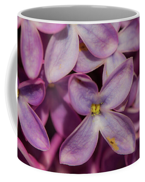 Lilac Coffee Mug featuring the photograph Purple Explosion by Peter Bouman