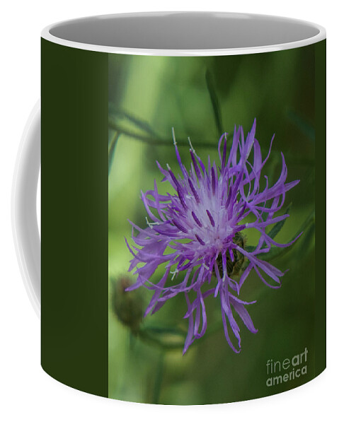 Purple Coffee Mug featuring the photograph Purple Flower 8 by Christy Garavetto