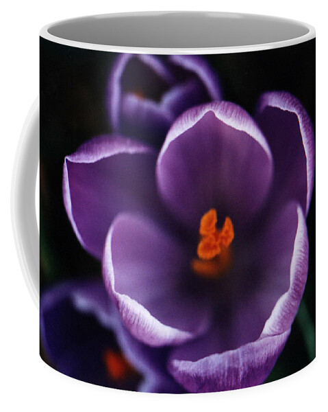 Scented Coffee Mug featuring the photograph Purple Flower by Pelo Blanco Photo