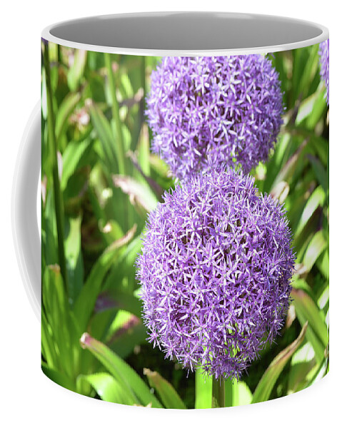Allium Coffee Mug featuring the photograph Purple Flowers in a Garden by DejaVu Designs