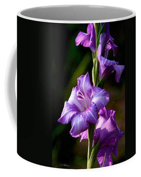 Gladiolas Coffee Mug featuring the photograph Purple Glads by Christopher Holmes