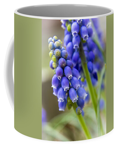Spring Coffee Mug featuring the photograph Purple by Holly Ross