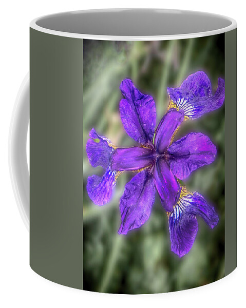 Iris Coffee Mug featuring the photograph Purple Iris by Judy Hall-Folde