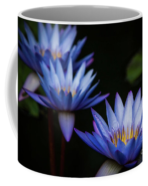Gibbs Gardens Coffee Mug featuring the photograph Purple Lilies by Doug Sturgess