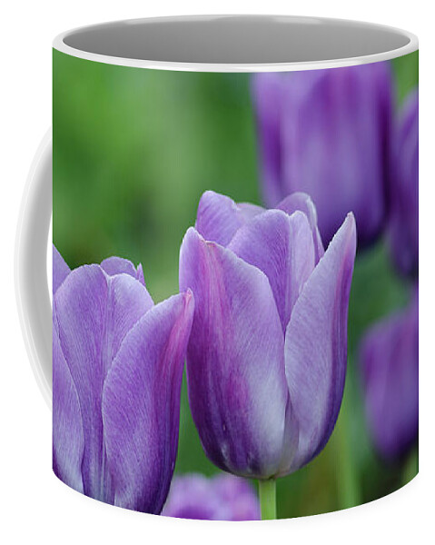 Purple Coffee Mug featuring the photograph Purple Ones by Nick Boren