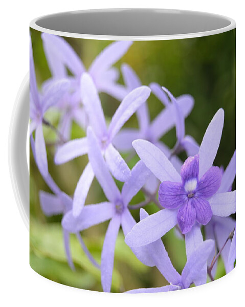 Kauai Coffee Mug featuring the photograph Purple Orchids 1 by Amy Fose
