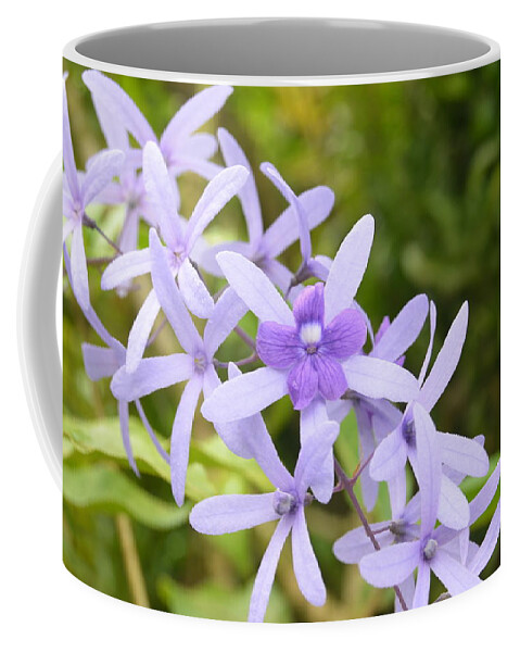 Kauai Coffee Mug featuring the photograph Purple Orchids 2 by Amy Fose