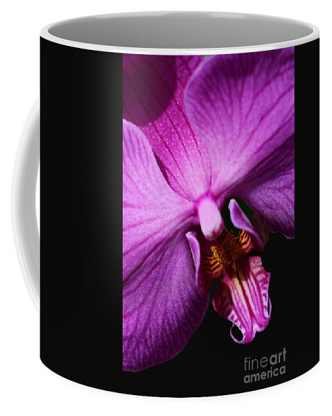 Orchid Coffee Mug featuring the photograph Purple Passion by Cindy Manero
