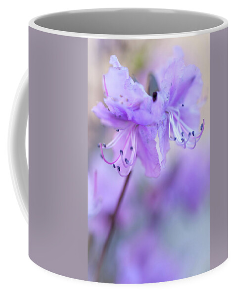Jenny Rainbow Fine Art Photography Coffee Mug featuring the photograph Purple Rhododendron. Spring Watercolors by Jenny Rainbow