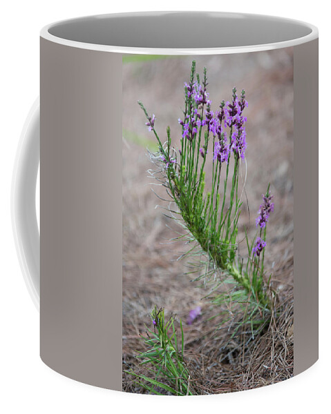 Flower Coffee Mug featuring the photograph Purple Rise by Valerie Cason