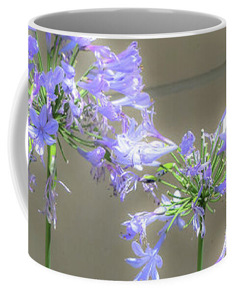 Flower Coffee Mug featuring the photograph Purple Sparklers by Deborah Crew-Johnson