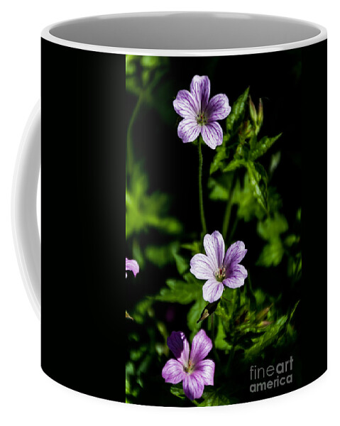 Purple Coffee Mug featuring the photograph Purple Trio by William Norton