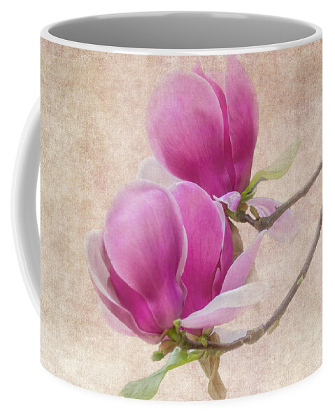 Magnolia Coffee Mug featuring the photograph Purple Tulip Magnolia by Heiko Koehrer-Wagner