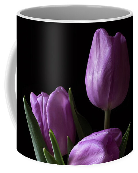 Flower Coffee Mug featuring the photograph Purple Tulips by Andrea Silies