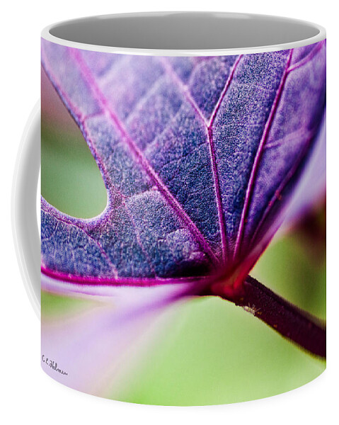 Flora Coffee Mug featuring the photograph Purple Veins by Christopher Holmes