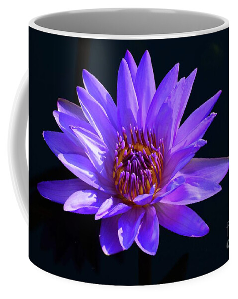 Flowers Coffee Mug featuring the photograph Purple Water Lily by Cindy Manero