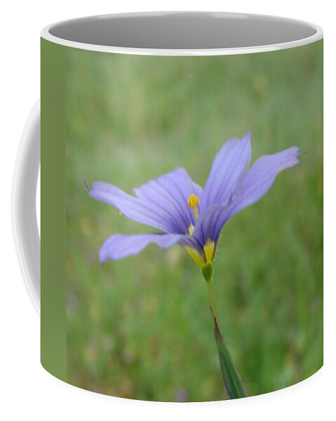 Purple Flower Coffee Mug featuring the photograph Purple Wildflower by Liz Vernand