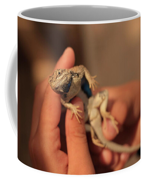 Western Coffee Mug featuring the photograph Put Me Down by David Diaz