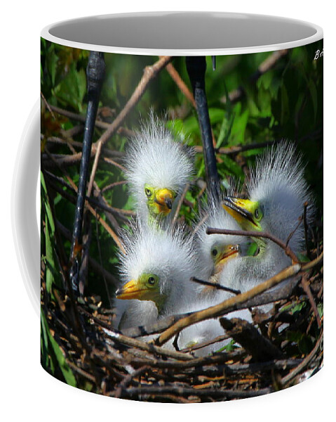 Great White Egret Coffee Mug featuring the photograph Quadruplets by Barbara Bowen