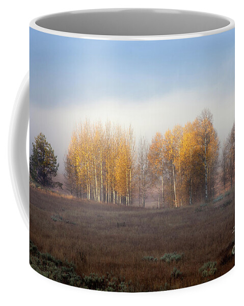 Aspen Tree Coffee Mug featuring the photograph Quaking Aspen Trees at Dawn, Grand Teton National Park, Wyoming by Greg Kopriva