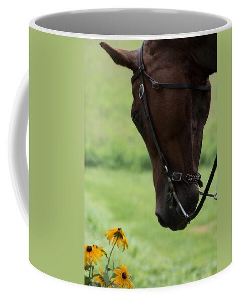 Quarter Horse Coffee Mug featuring the photograph Quarter Horse by Holden The Moment