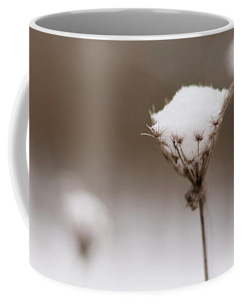 Wildflower Coffee Mug featuring the photograph Queen Anne in the Snow by Holly Ross