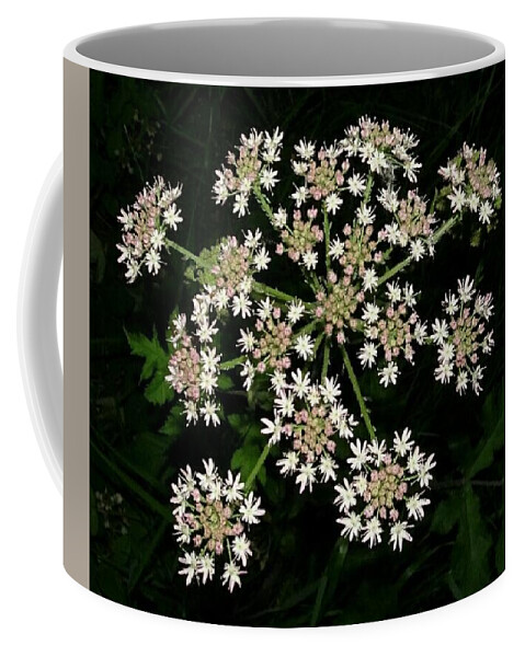 Lace Coffee Mug featuring the photograph Queen Anne's lace by Susan Baker