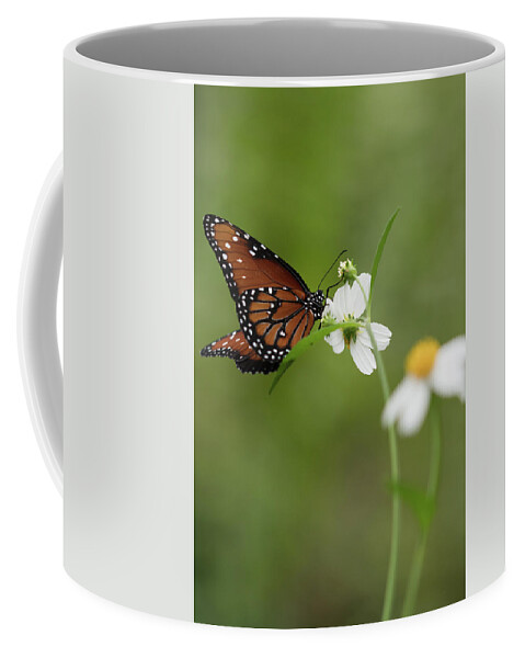 Butterfly Coffee Mug featuring the photograph Queen Drinking Nectar by Artful Imagery