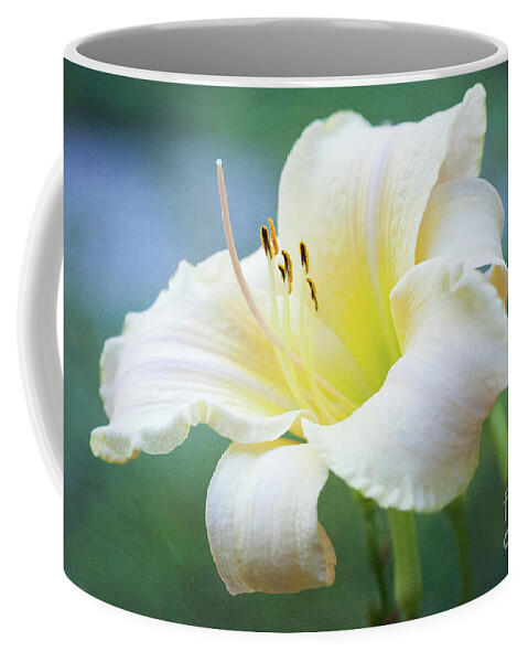 Daylily Coffee Mug featuring the photograph Queen of the Garden by Anita Pollak