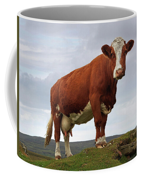Cow Coffee Mug featuring the digital art Queen of The Mountain by Jerry LoFaro