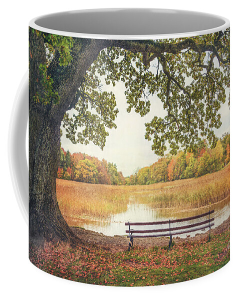 Kremsdorf Coffee Mug featuring the photograph Quiet Time by Evelina Kremsdorf