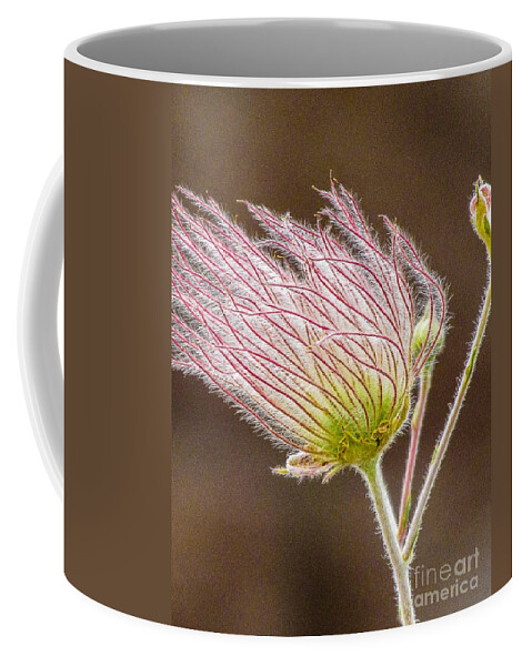Woohoo Coffee Mug featuring the photograph Quirky Red Squiggly Flower 1 by Christy Garavetto