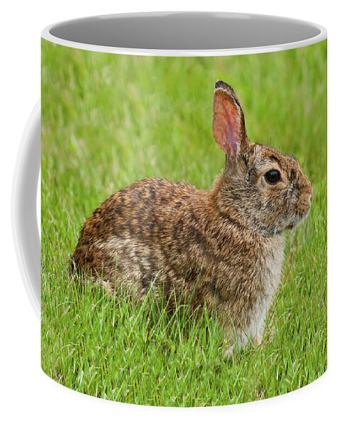 Animal Coffee Mug featuring the photograph Rabbit in a Grassy Meadow by Jeff Goulden
