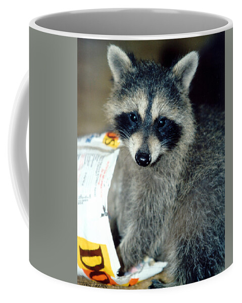 Faunagraphs Coffee Mug featuring the photograph Raccoon1 Snack Bandit by Torie Tiffany