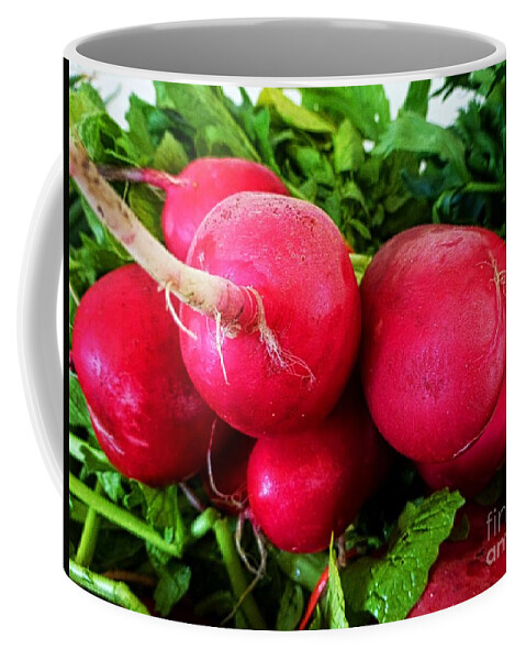 Radish Coffee Mug featuring the photograph Radish Bottoms by Dee Flouton