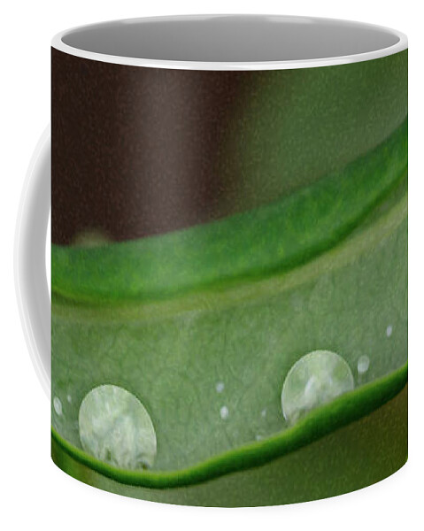 Rain Drops Coffee Mug featuring the photograph Rain Drops in a Pod by Crystal Wightman
