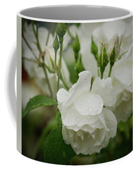 Allemagne Coffee Mug featuring the photograph Rain Drops in Our Garden by Miguel Winterpacht