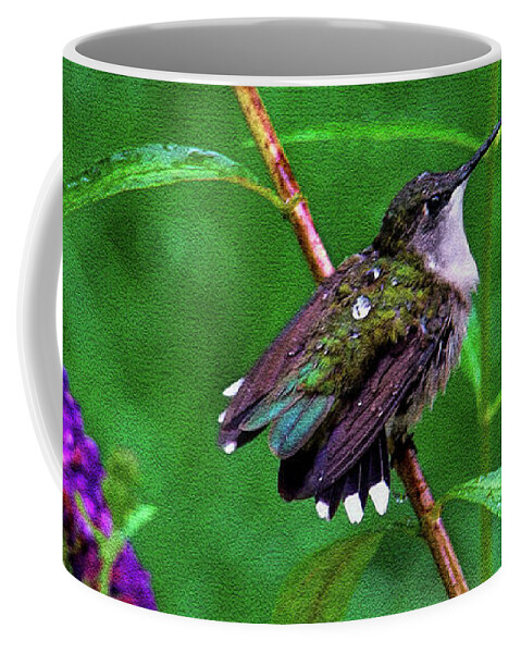 Hummingbird Coffee Mug featuring the photograph Rain Drops Keep Fallen on My Head by Sue Melvin