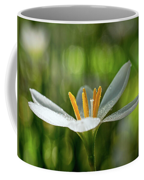 Flower Coffee Mug featuring the photograph Rain Lily Covered in Droplets by Brad Boland