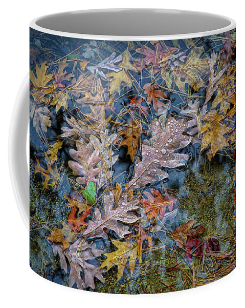 Rain Coffee Mug featuring the photograph Rain on autumn leaves by Lilia S