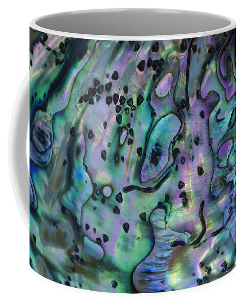Hhh Coffee Mug featuring the photograph Rainbow Abalone Haliotis Iris by Lynda Harper