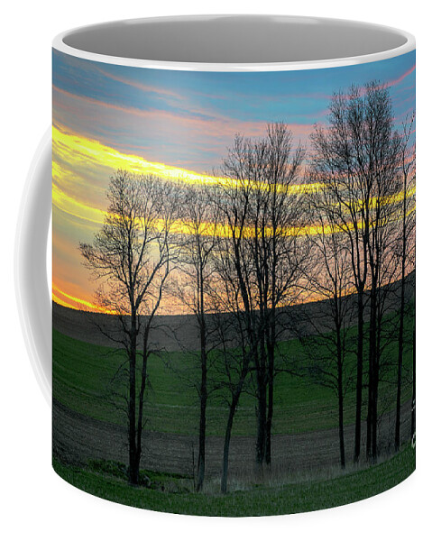 Sunrise Coffee Mug featuring the photograph Rainbow Color Tree Horizon by Joann Long