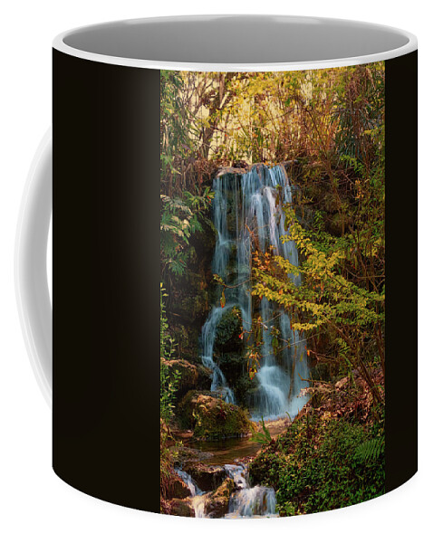 Rainbow Springs Waterfall # Rainbow Springs# Tubing # State Park # Kayak # Camping # Dunnellon # Waterfall # Rainbow River #snorkeling�#swimming #the Rainbow River #florida#marion County # Coffee Mug featuring the photograph Rainbow springs waterfall by Louis Ferreira